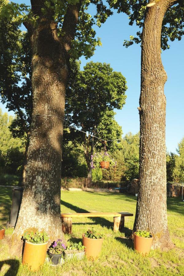 Pod Debami - Pokoje Na Mazurach Villa Wydminy Exteriör bild